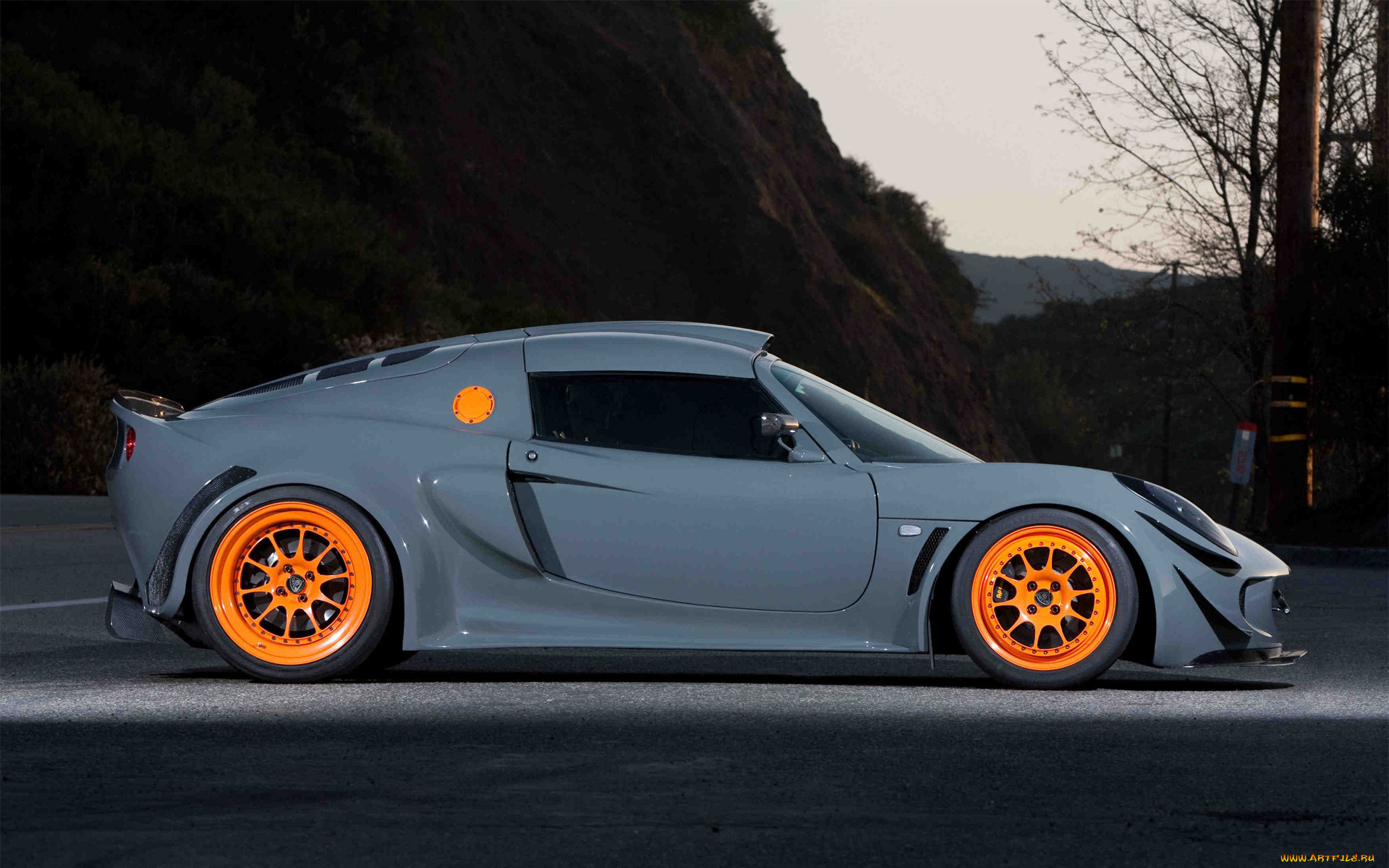 , lotus